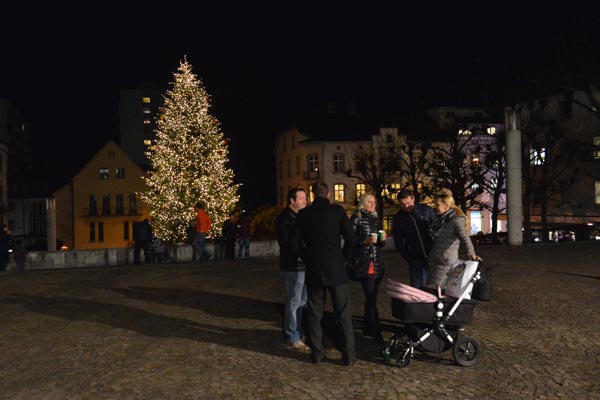 Weihnachtsbaumuebergabe_Landhaus-Bregenz_2016-11-24_2016-7756-040.jpg